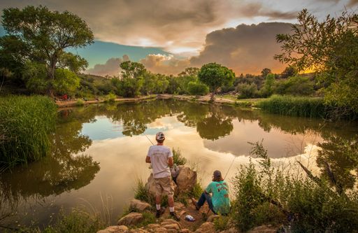 A Sunset at Fain Lake with Glowing Clouds, Backs of people fishing and color filled sky