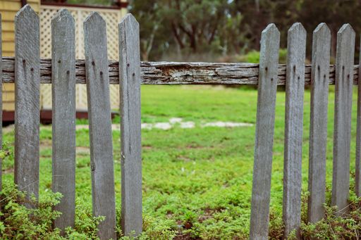 An old picket fence of green grass garden