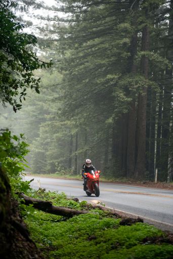 A motorcyclist riding through misty redwoods early in the morning aboard a Ducati 999