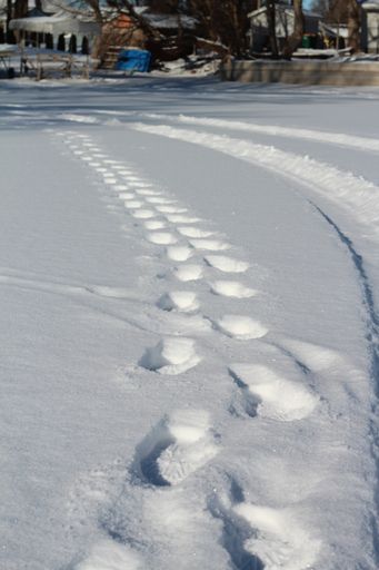A vertical shot of footsteps in the snow taken in Minnesota