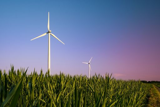 Wind power turbines on a field in Germany for a green future with renewable energy
