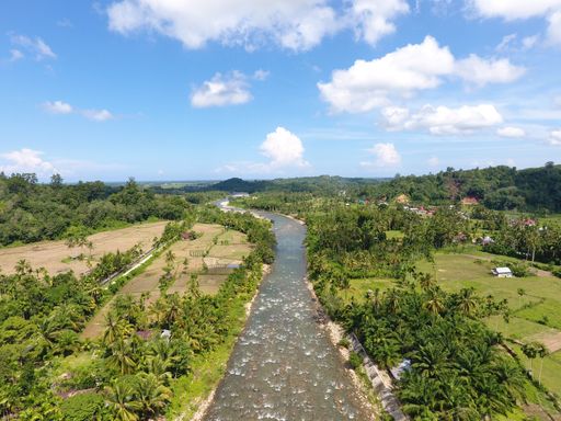 An aerial view of river flowing through lush green rural fields with tropical trees