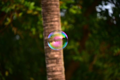 Bubble photo India nature colors green