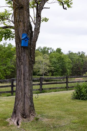 A vertical shot of a blue bird house on a tree in front of a farm fence