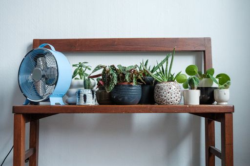 A wooden bench with plants and fan near the white wall inside the house