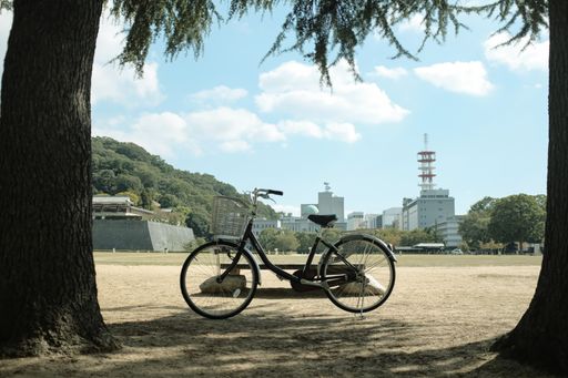 A beautiful shot of a bicycle parked on a sandy ground in front of trees and the city in the background - perfect for a blog about daily life