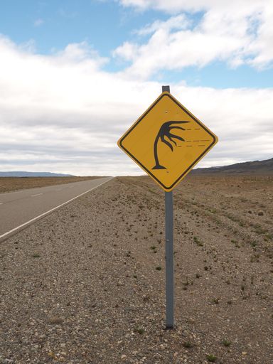 A vertical shot of a road sign warning of strong wind, next to the road in a desert during daylight