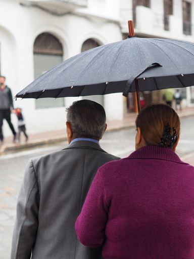 A vertical shot of a middleaged couple walking on the street with an umbrella