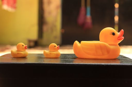 A closeup shot of 2 ducklings and a duck on the blurred background