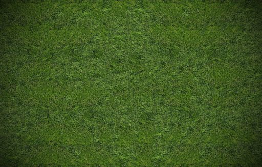 An empty green grassy soccer field for a background