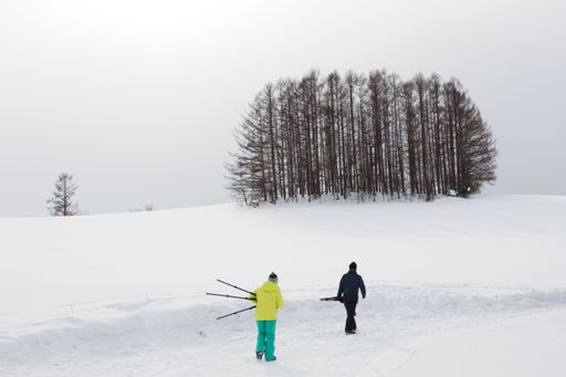 A winter scene with leafless trees and two people holding branches