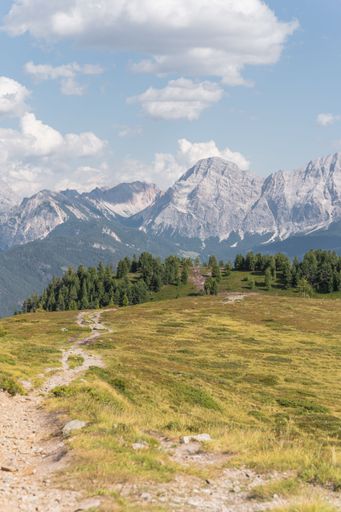 A vertical shot of a green clearing near the Dolomites Mountains in Italy