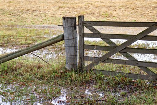 An old wooden fence in a marsh in a rural area surrounded by grass and green vegetation