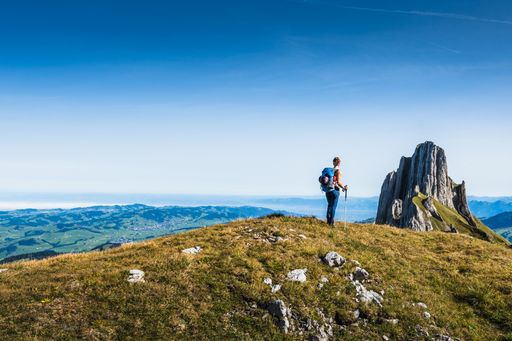 A back view of hiker standing on greenery hill