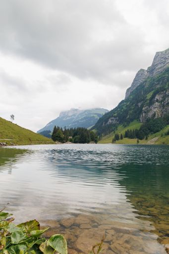 A vertical shot of the clear Seealpsee lake near rocky green mountains in Switzerland