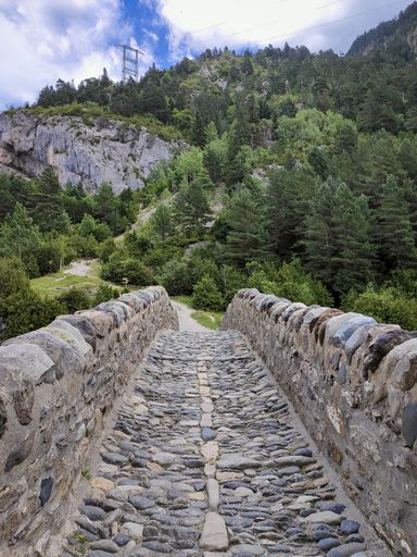 A vertical shot of a stone footpath with a coniferous forest on a mountainous landscape