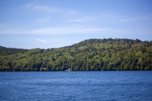 A landscape shot of a hill covered in trees near the sea under the blue sky