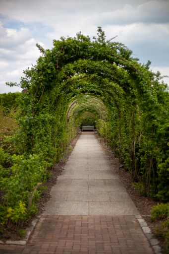 A vertical shot of a beautiful pathway decorated with green plants