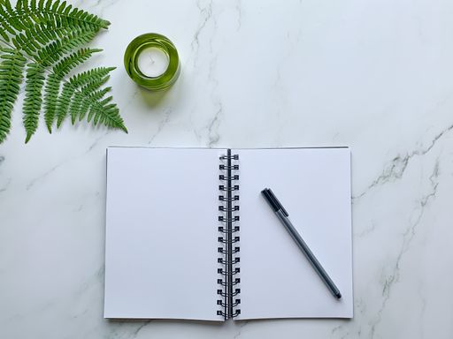 A top view of an opened notebook and pen next to decorative fern branch - perfect for wallpaper