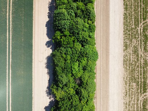 An aerial shot of a landscape with tractor lines in field