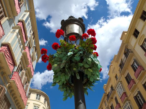 A low angle of a flower basket on an old street lamp in Malaga, Spain.