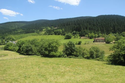 Sunny day in the countryside in Basque Country, Spain