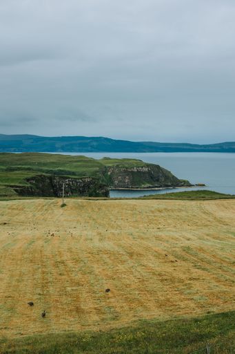 A vertical shot of a field with a lake, cliffs, and mountains in the background on a gloomy day