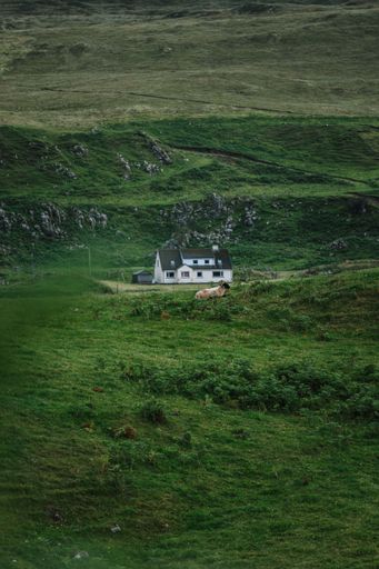 A vertical shot of a house on the hillslide surrounded by trees on Skye island