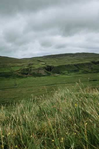 A vertical shot of green landscape during a cloudy day