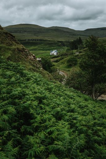 A vertical shot of green landscape during a cloudy day