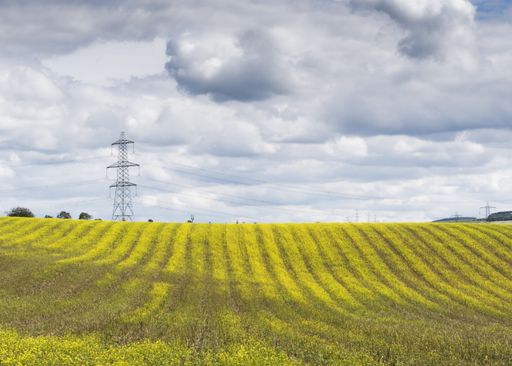 A beautiful view of the field of Brassica napus growing in the UK under the cloudy sky