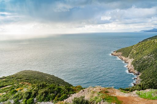 A high angle shot of a rocky coast of a sea covered with dense vegetation under the cloudy sky
