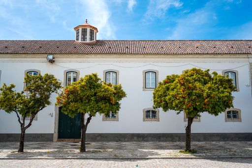 Old historic Building with windows behind lush Orange Trees in Old Town Faro