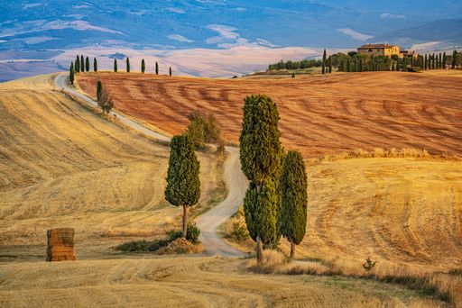 A fascinating scenery of a valley with trees and a path leading to an isolated house in the background