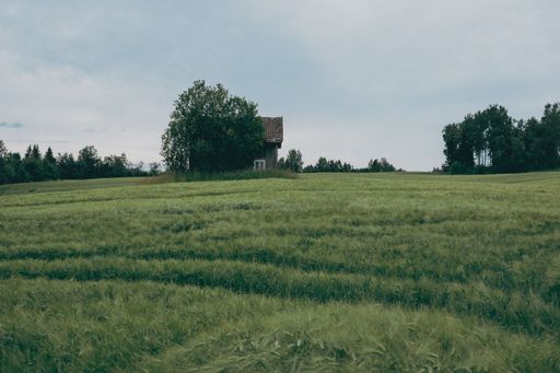 A view of the abandoned house, green field, and trees under the cloudy sky of the village in Toten, Norway