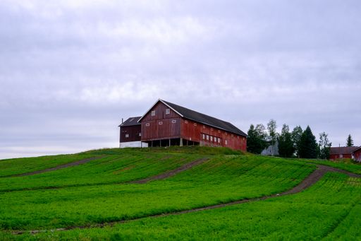 A view of a red barn in a green field in the village of Lausgarda, Toten, Norway