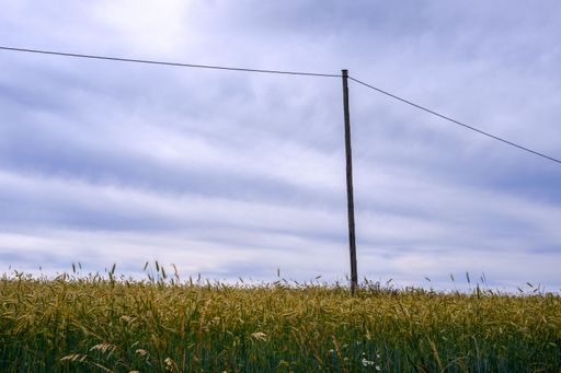 A pole in the green and yellow fields under the cloudy sky in Toten, Norway