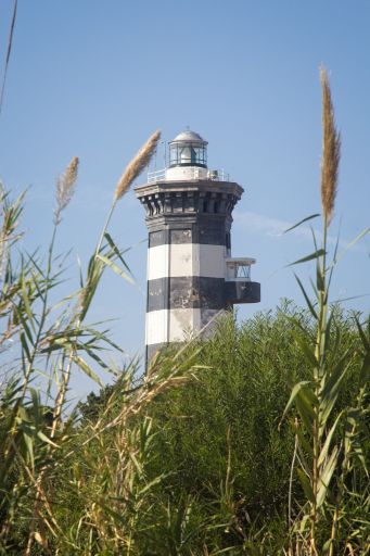 A vertical shot of a black white striped lighthouse near wild reeds in Sicily, Italy