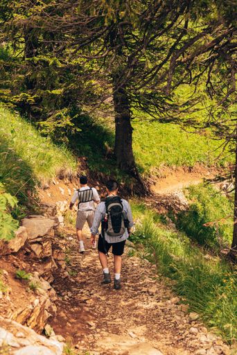 A vertical shot of two young male walking alone the rocky path in the forest