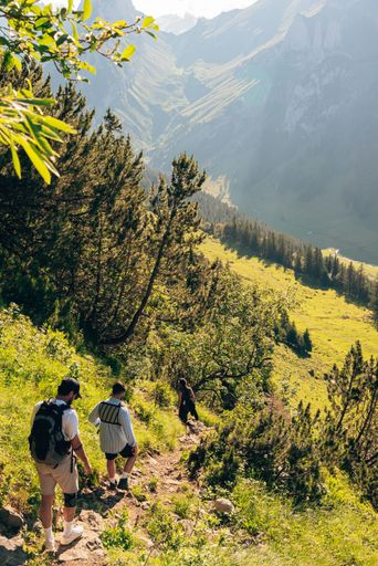 A vertical shot of fit men walking down a narrow path in valley with mountains in the background