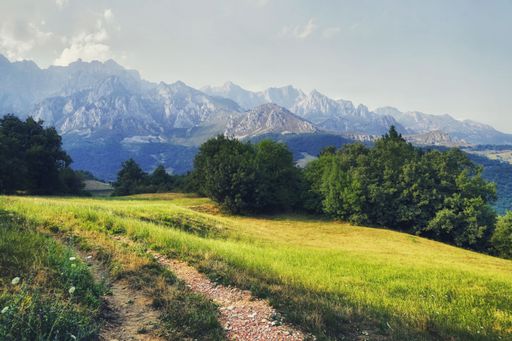 A beautiful shot of a mountainous alpine landscape with green trees and sky in the background