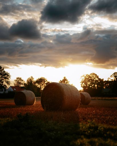 Photos taken on a warm sunny evening