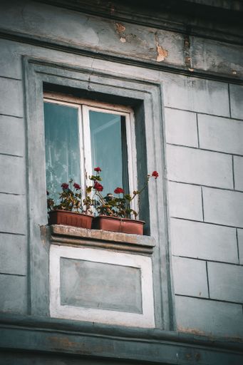 A vertical shot of a small window of a house with potted roses on the windowsill
