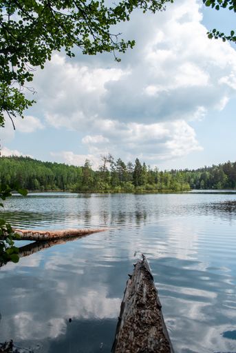 A vertical shot of a beautiful lake under the cloudy sky