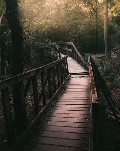 A vertical shot of a wooden bridge in the middle of the woods during a gloomy day