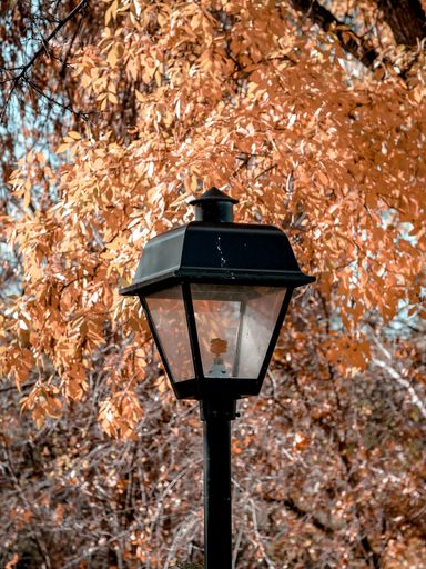 A vertical shot of a street lamp and orange leaves in the background