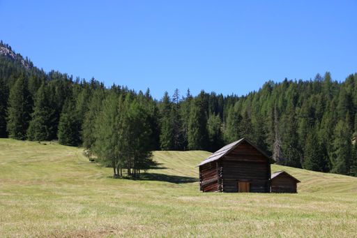 A beautiful view of a wooden hut in a grass field with green lush trees in the background