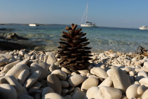 A mesmerizing shot of a beautiful seascape with a pine cone on the foreground
