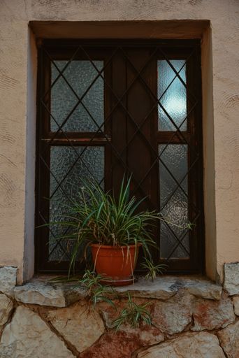 A vertical shot of a glass window with metal bars and a plant in front