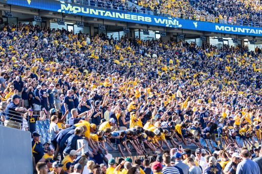 The football fans in the stadium at a West Virginia University college football game
